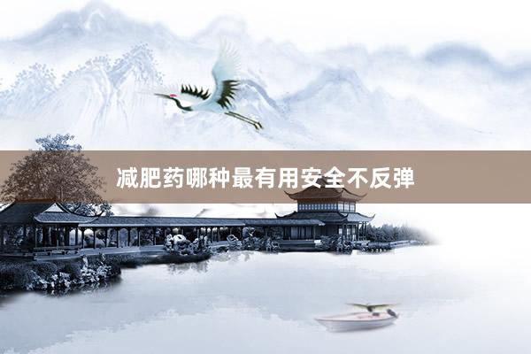 减肥药哪种最有用安全不反弹